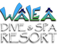 Walea Dive Resort - Togian Islands - Central Sulawesi
