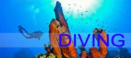 Walea Resort Diving